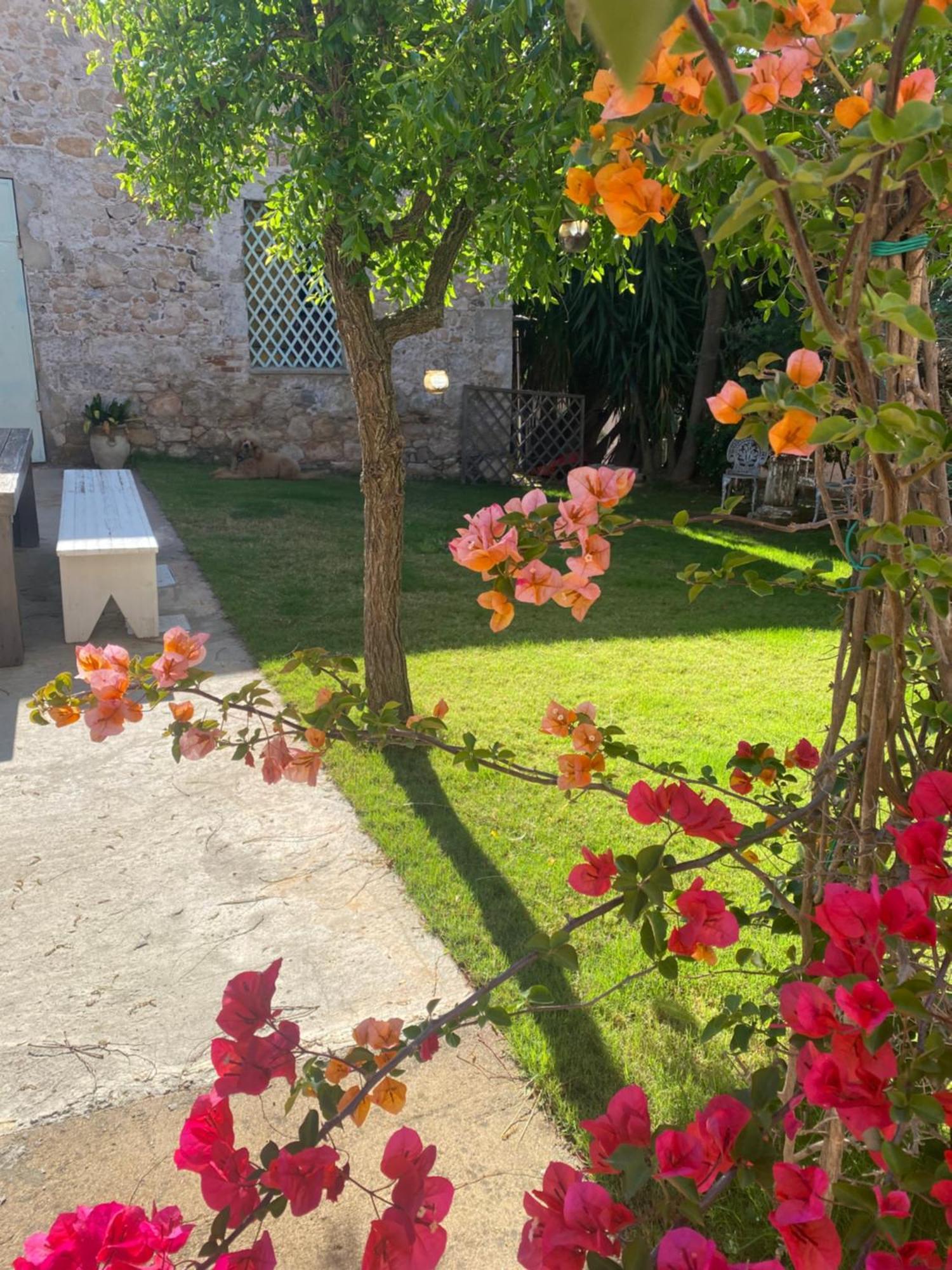 Corte Boero Country Apartments Capoterra Esterno foto